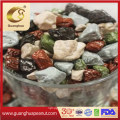 Export High Quality Various Shape Chocolate Beans